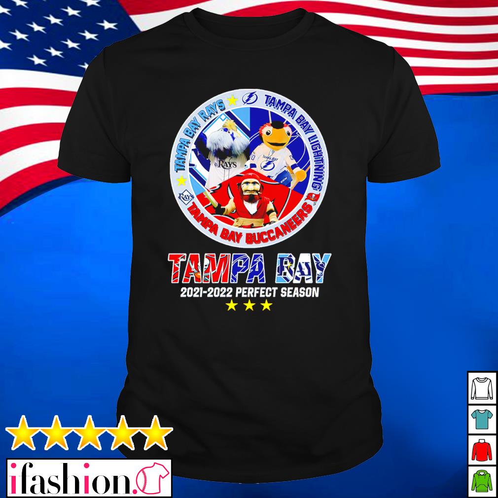 Tampa Bay Lightning Bay Buccaneers Bay Rays flag logo shirt, hoodie,  sweater, long sleeve and tank top